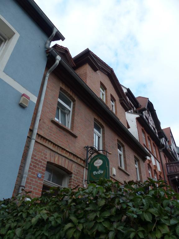 Siebenstern *